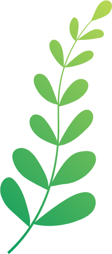 decorative picture